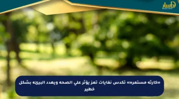 «كارثة مستمرة» تكدس نفايات تعز يؤثر على الصحة ويهدد البيئة بشكل خطير